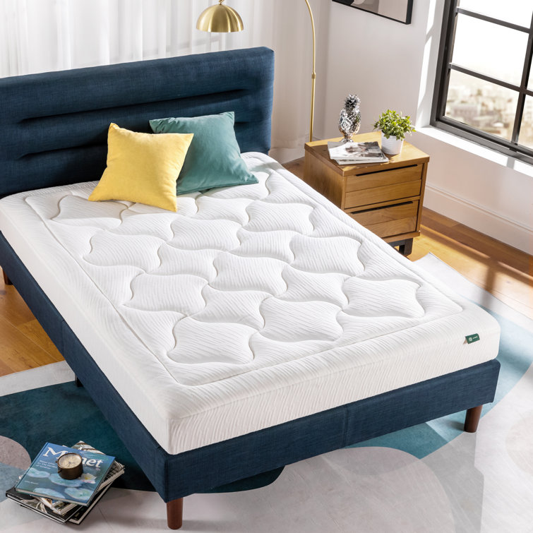 Zinus 8'' Plush Memory Foam Mattress & Reviews Wayfair